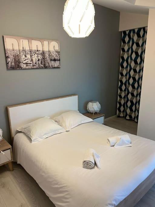 Le Paris Eiffel - Appartement Cosy En Plein Centre Bourgoin-Jallieu 외부 사진